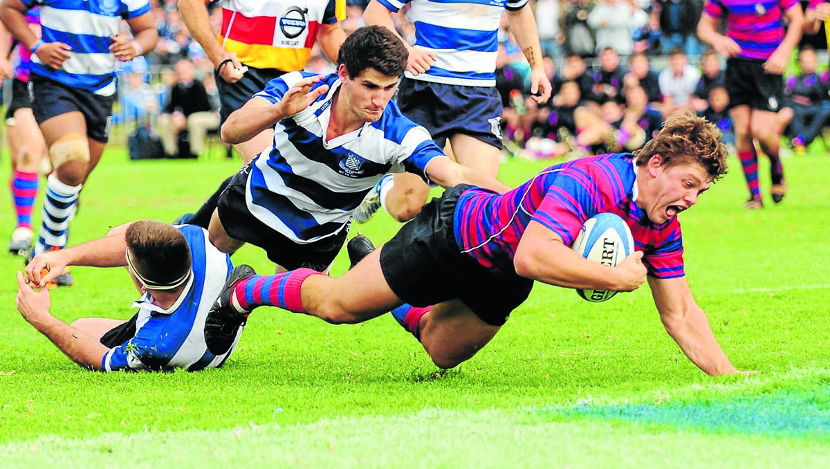 UP AND OVERSEAS: Former Mudgee Wombats junior Matthew Sandell scores a try for St Joseph’s College first XV in their GPS match against St Ignatius College, Riverview, earlier this year.  Photo supplied by Louise Sandell